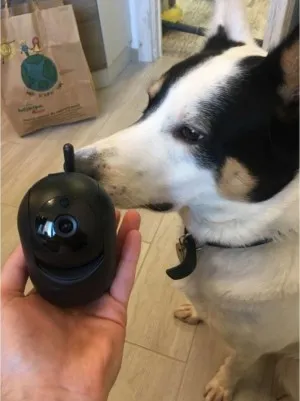 Caméra de surveillance à distance pour particuliers et professionnels 